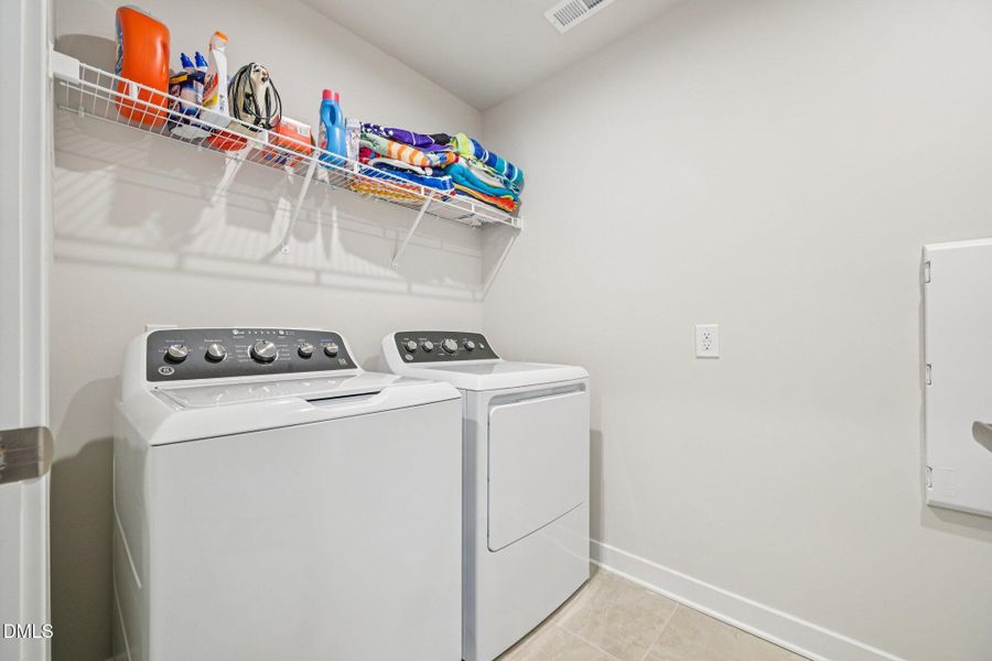 29-web-or-mls-matthiola-S1301-029