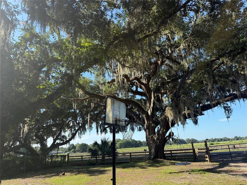 Natural landscape and outdoor views near  in Plant City (Image 24).