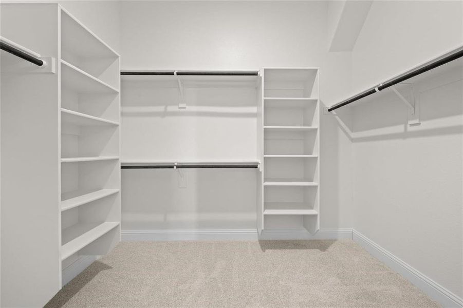 Spacious closet with carpet