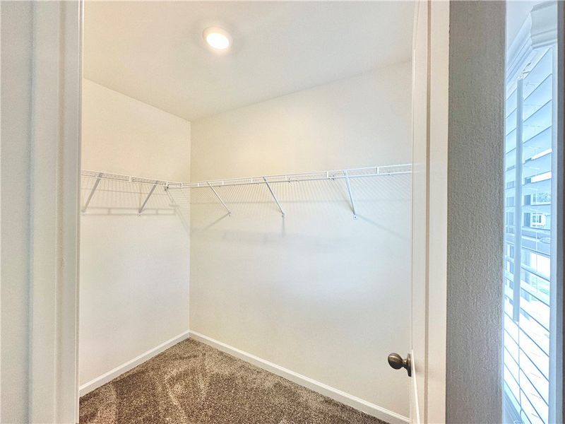 *Photo is from similar Palomino. Actual pics will *Photo is from similar Palomino. Actual pics will