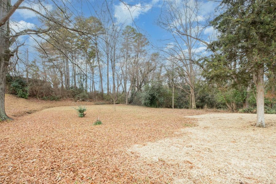 Natural landscape and outdoor views near in Cornelius (Image 25). Natural landscape and outdoor views near in Cornelius (Image 25).