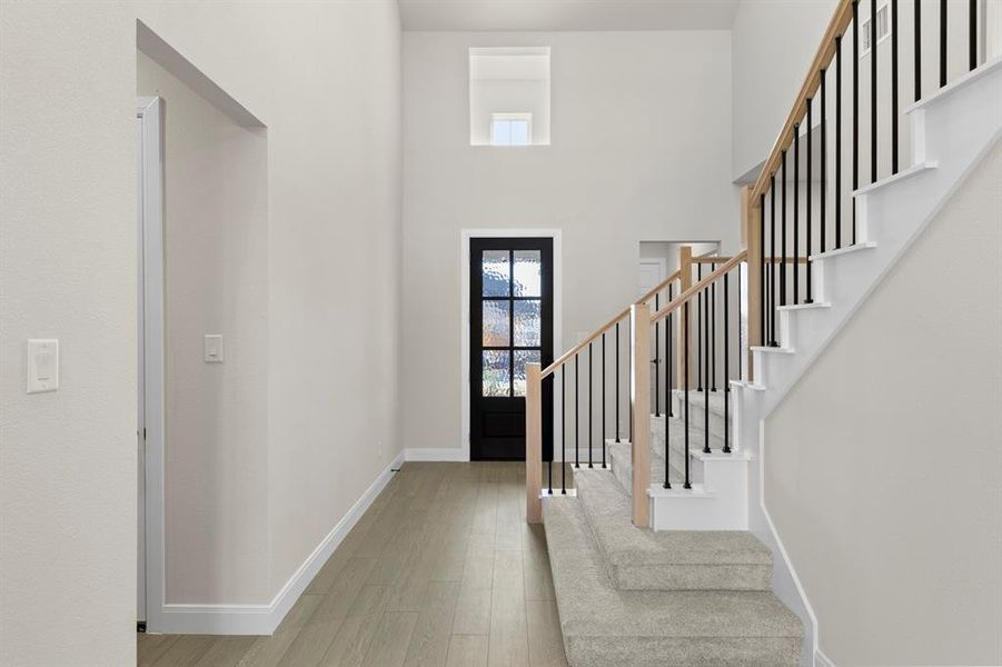 03. 637 Bunchberry - Entry