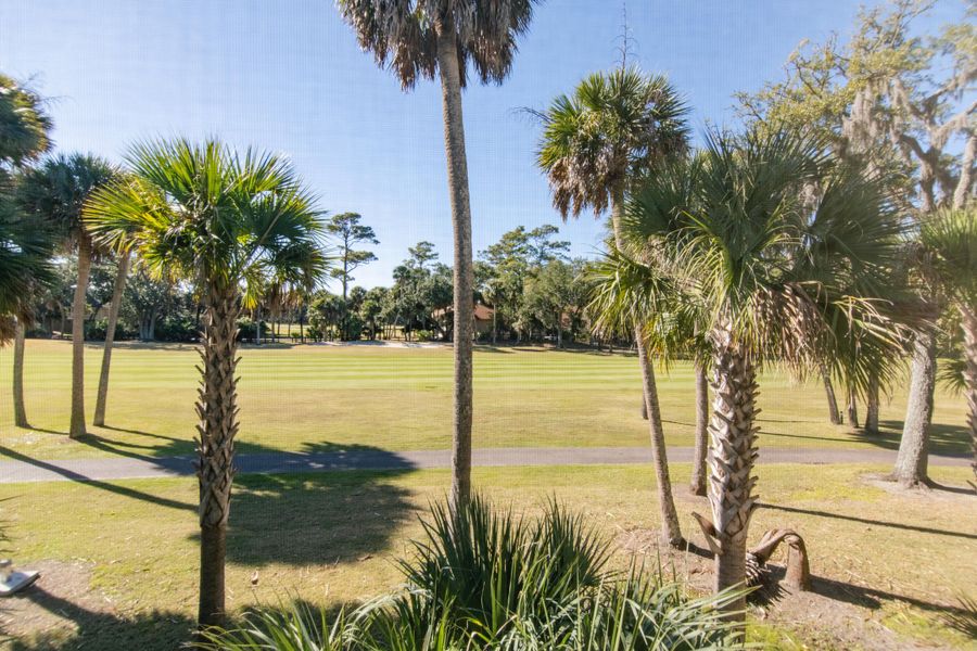 Natural landscape and outdoor views near  in Edisto Island (Image 36).