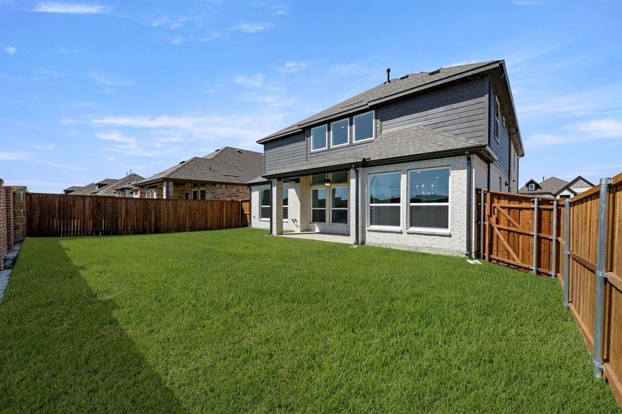 30. 5920 Mustang - Back (2) 30. 5920 Mustang - Back (2)