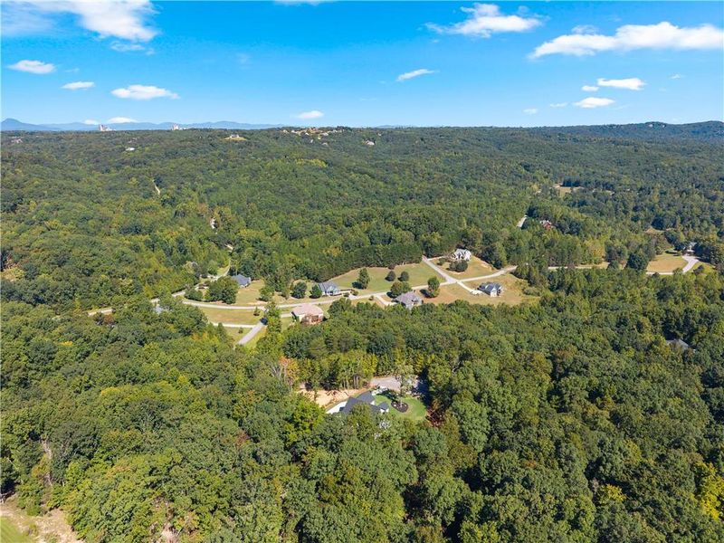 Natural landscape and outdoor views near  in Baldwin (Image 73).