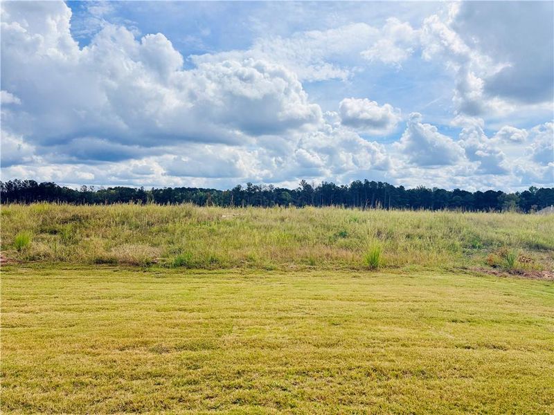 Natural landscape and outdoor views near Heritage Pointe at The Georgian in Villa Rica (Image 19).
