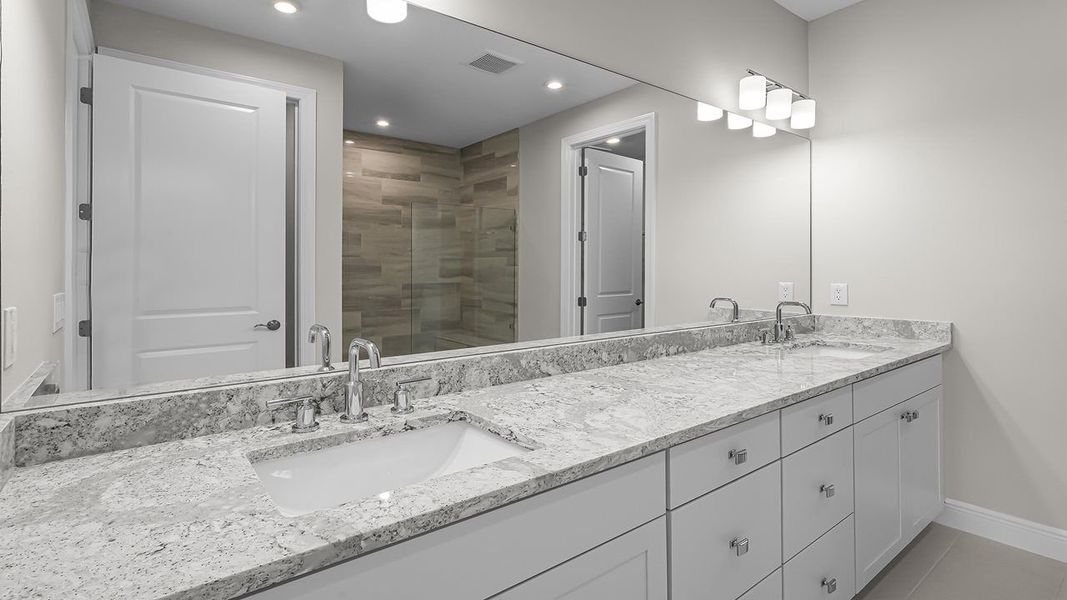 Owner's Bath