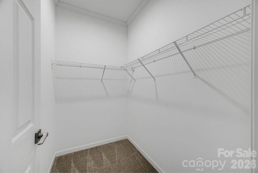 Spacious, unfurnished interior of a new home in , Newton (Image 28).