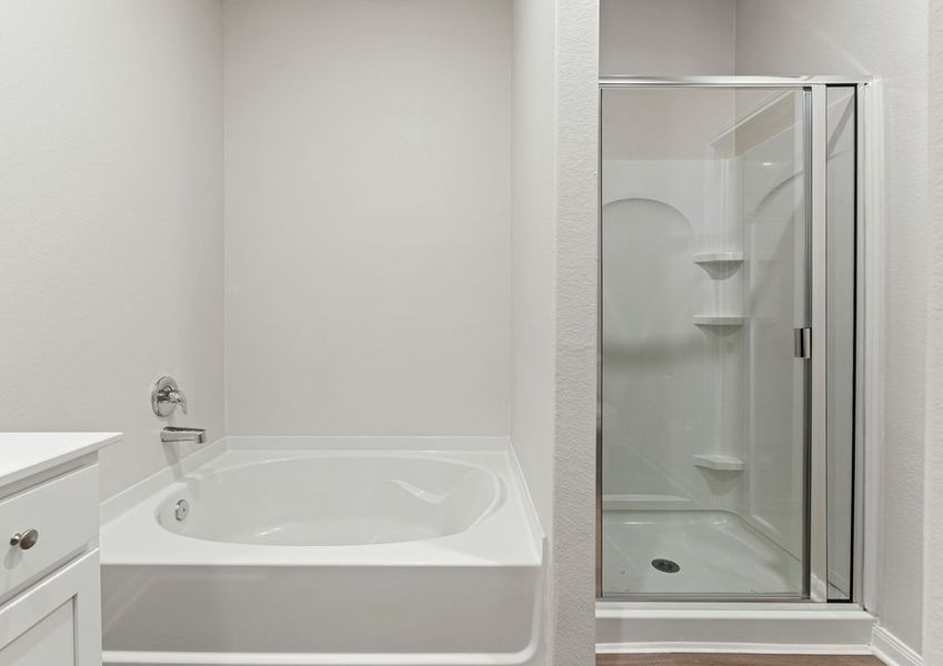 Shower/tub combination in the master bathroom Shower/tub combination in the master bathroom