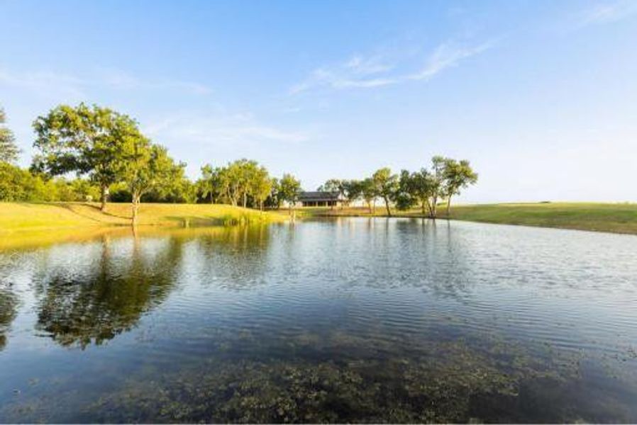 Natural landscape and outdoor views near  in Sherman (Image 18).