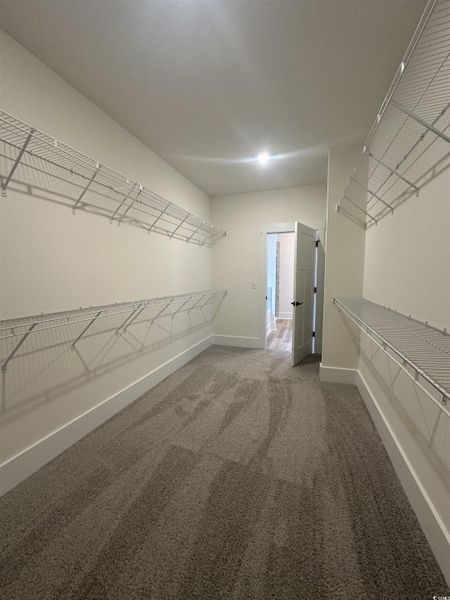 Spacious closet with carpet floors