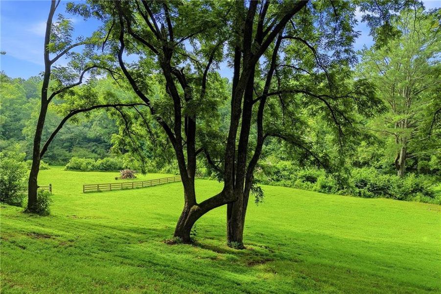 Natural landscape and outdoor views near in Ball Ground (Image 54). Natural landscape and outdoor views near in Ball Ground (Image 54).