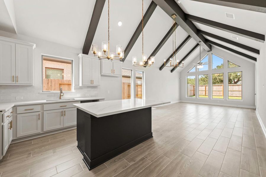 Representative image. Features, selections and colors may vary.