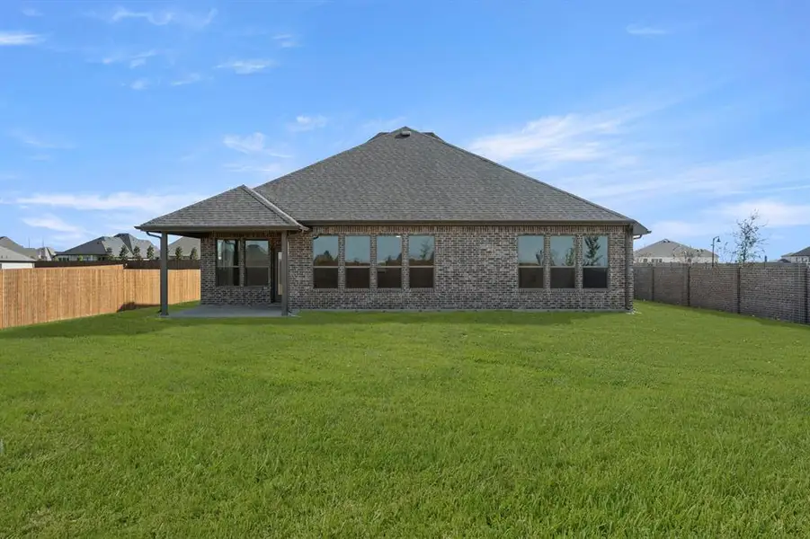 209 Pine Leaf- Back-3