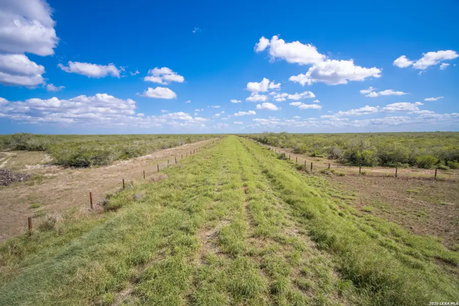 Natural landscape and outdoor views near  in Alice (Image 42).