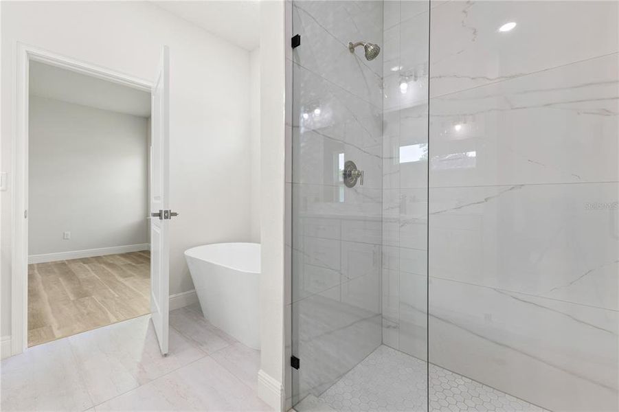 Furnished interior view inside a new home in , Ocala (Image 5).