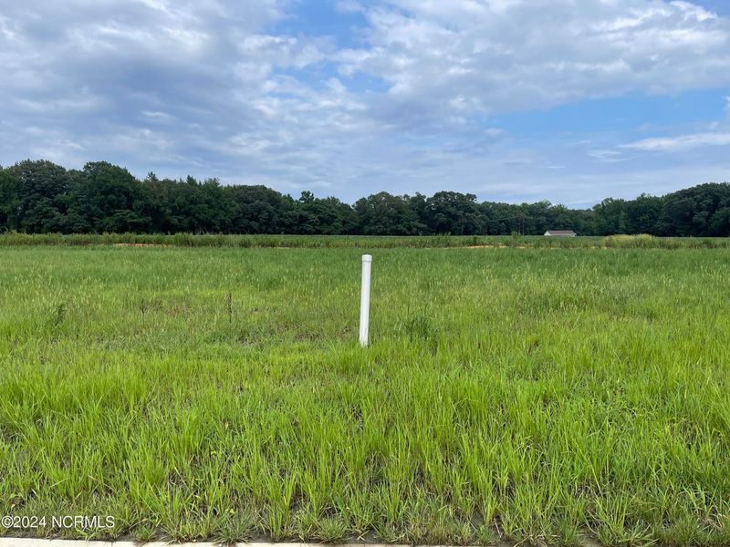 Site preparation for new homesites in Summer Place, Grimesland (Image 27). Site preparation for new homesites in Summer Place, Grimesland (Image 27).