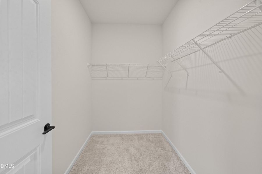 19-23 Knoll_7041 19-23 Knoll_7041