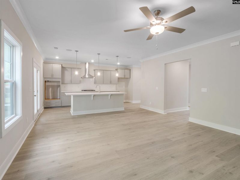 Spacious, unfurnished interior of a new home in Collins Cove, Chapin (Image 23). Spacious, unfurnished interior of a new home in Collins Cove, Chapin (Image 23).