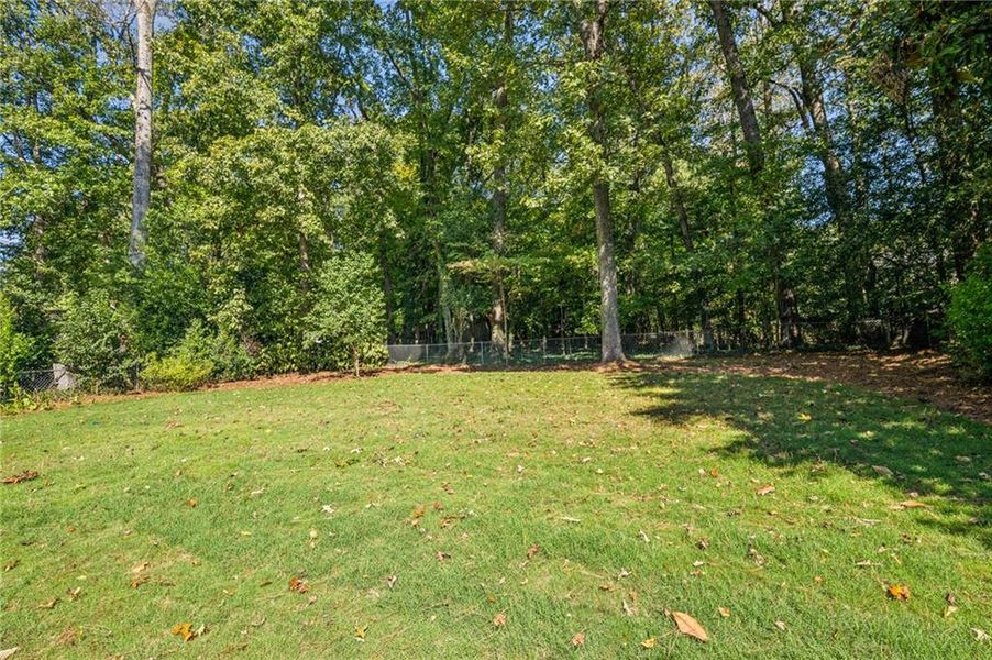 Natural landscape and outdoor views near in Atlanta (Image 30). Natural landscape and outdoor views near in Atlanta (Image 30).