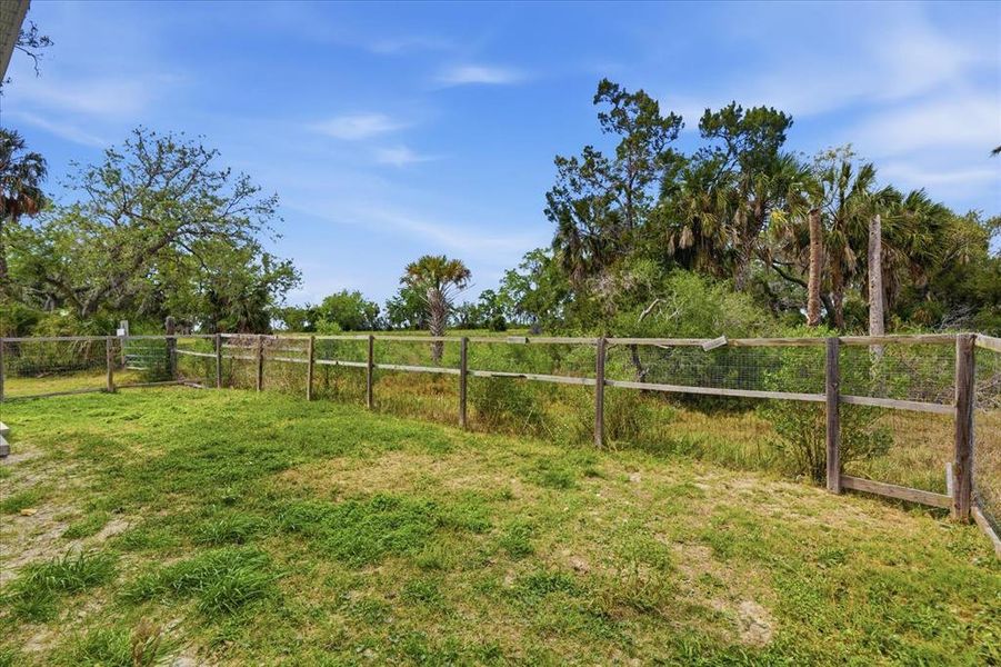 Natural landscape and outdoor views near  in Hernando Beach (Image 44).