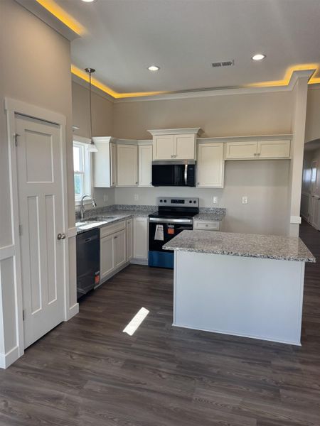 Furnished interior view inside a new home in Davis Heights, Inman (Image 3).