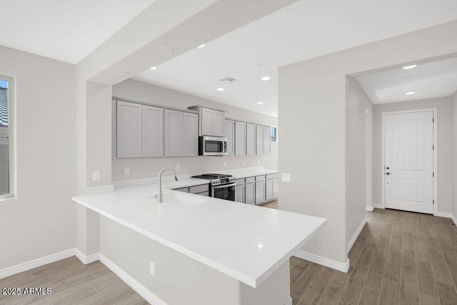 hj-az-phoenix-mystic-discovery-lily-lot-