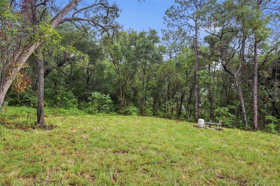 Natural landscape and outdoor views near in Mount Plymouth (Image 35). Natural landscape and outdoor views near in Mount Plymouth (Image 35).