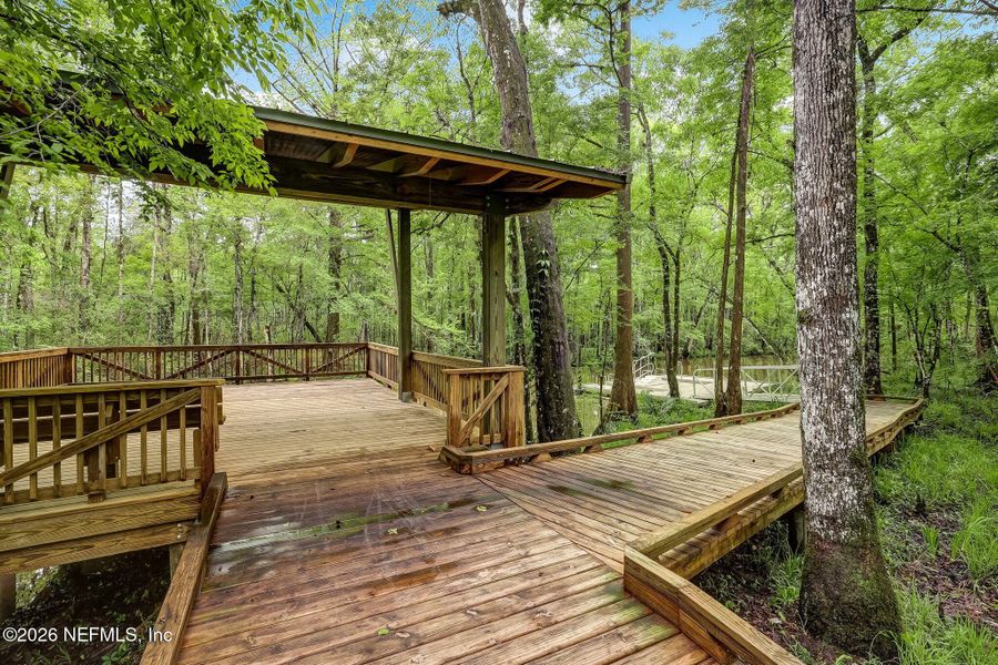 Natural landscape and outdoor views near  in St. Augustine (Image 70).