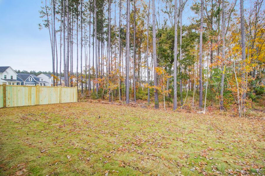 Natural landscape and outdoor views near Homecoming in Ravenel (Image 29).