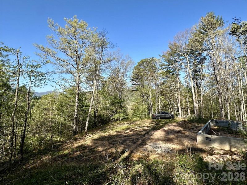Natural landscape and outdoor views near  in Clyde (Image 6).