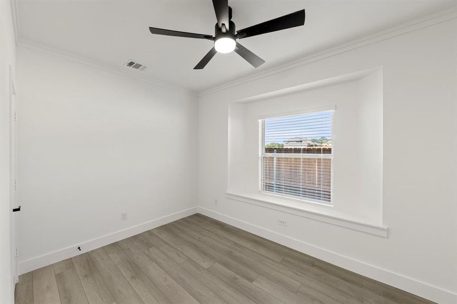 06. 2415 Haley - Study 06. 2415 Haley - Study