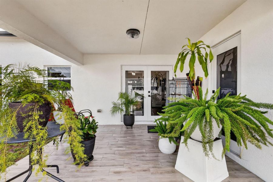 42-web-or-mls-5P1A2423
