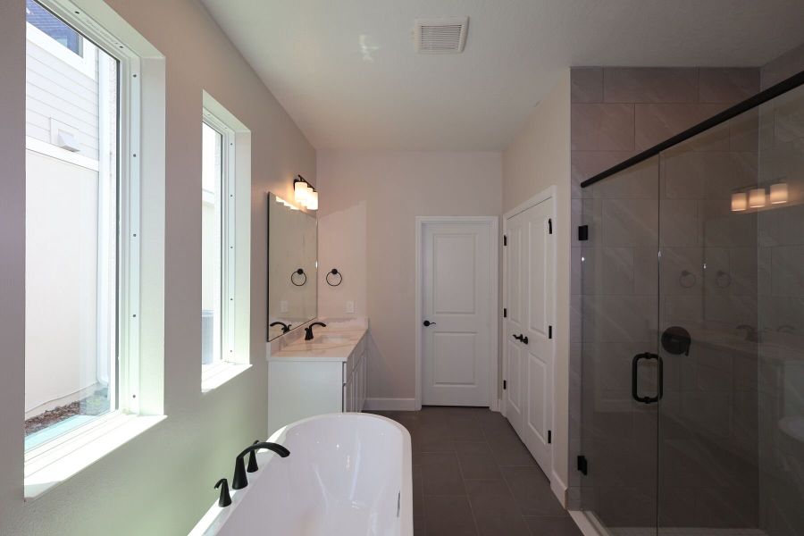 Owner's Bathroom
