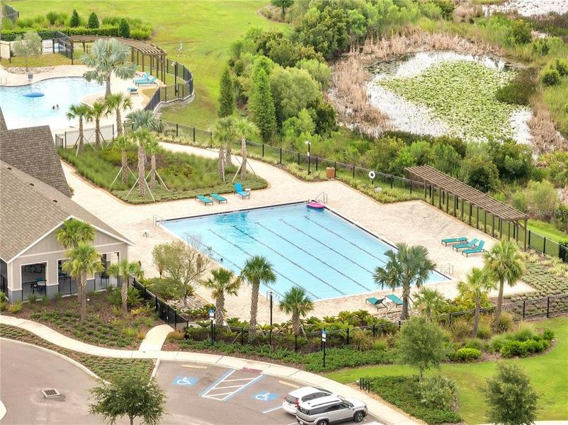 Community amenities in Hawkstone, Lithia (Image 33).