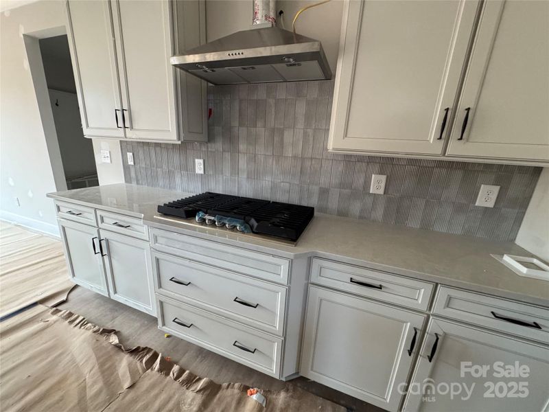 Gas cooktop & range hood