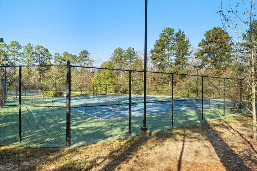 Community amenities in The Woodlands Hills 60', Willis (Image 27).