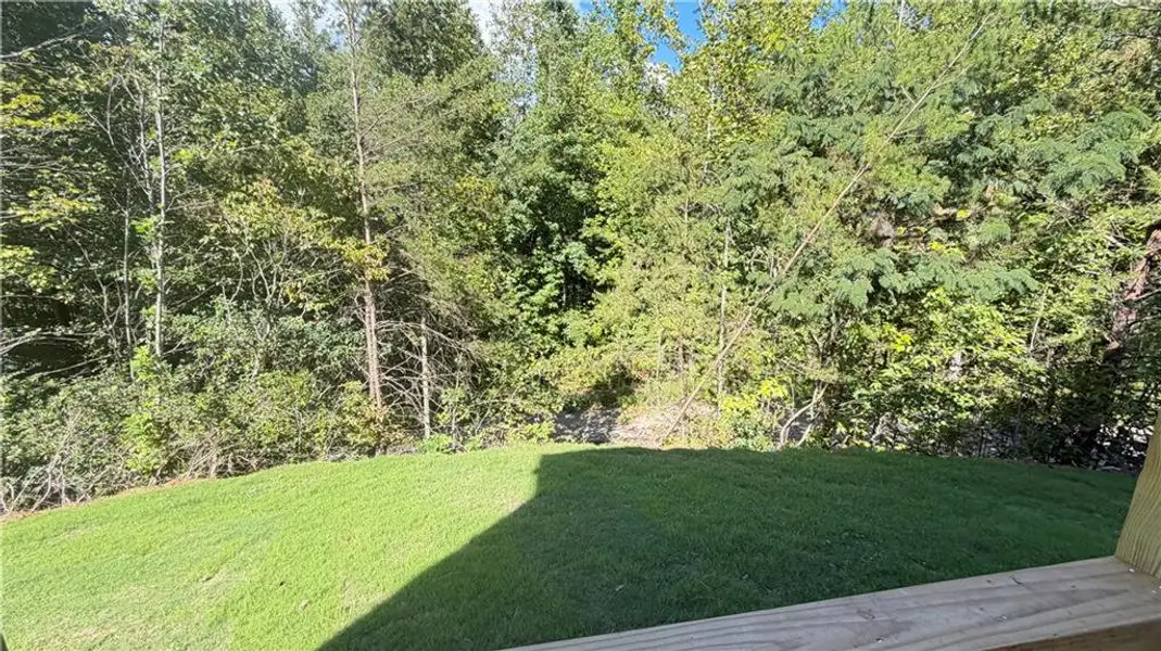 Natural landscape and outdoor views near Habersham Meadows in Demorest (Image 40).