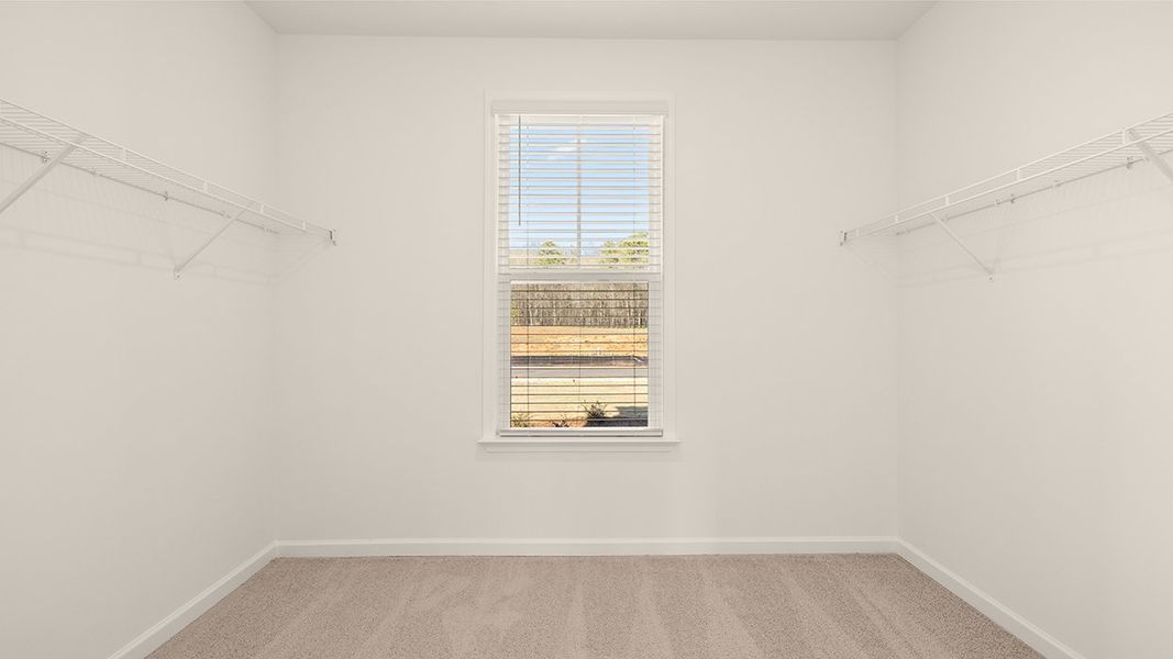 Spacious, unfurnished interior of a new home in Westland, Bogart (Image 21).