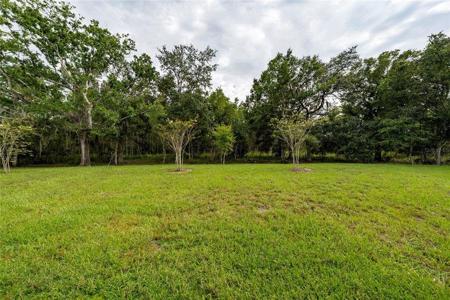 Natural landscape and outdoor views near Storey Creek in Kissimmee (Image 41).