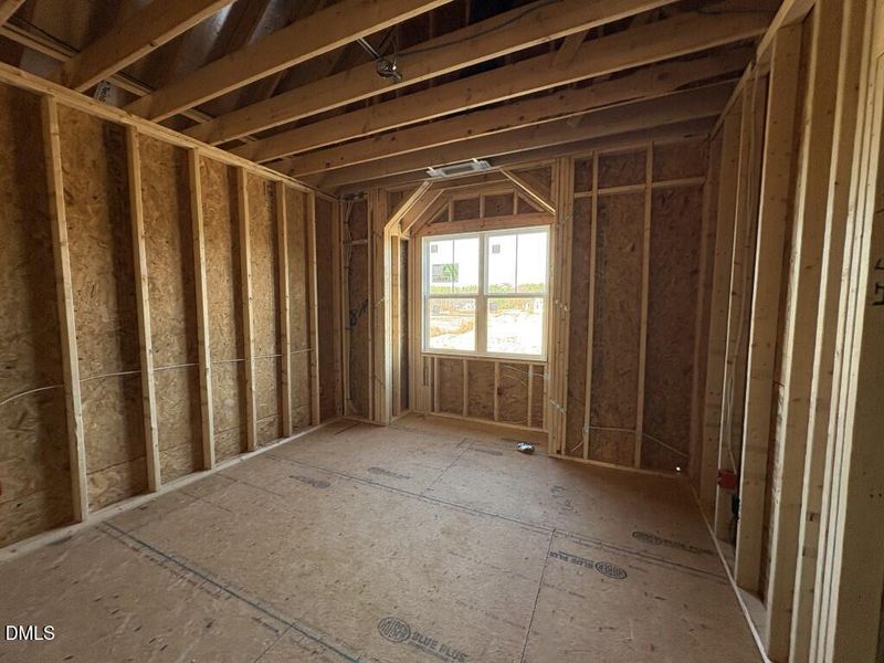 Photo Dec 01 2025, 11 43 35 AM (Medium)