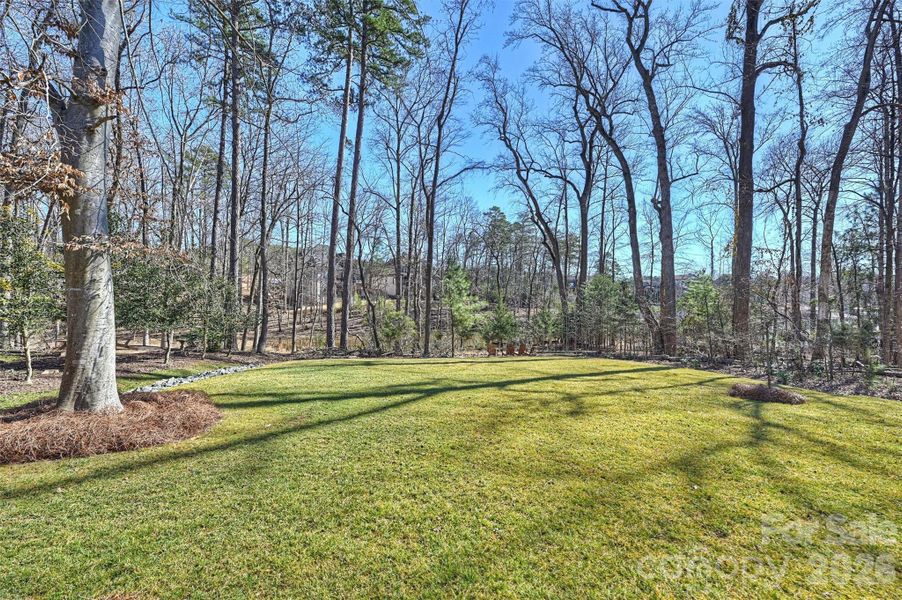 Flat Backyard - ready for a pool, overlooking water