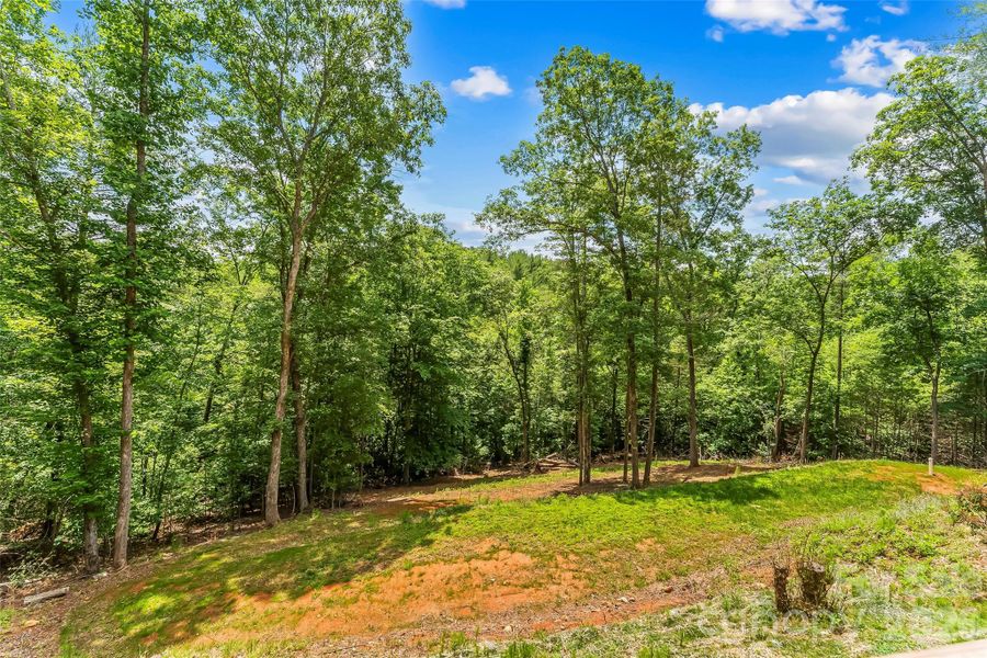 Natural landscape and outdoor views near  in Nebo (Image 22).