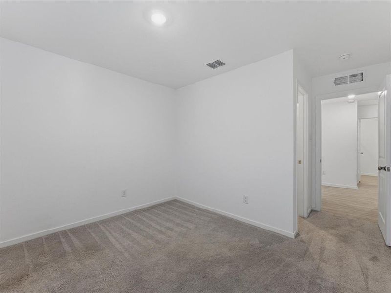 Neutral tone wall finishes complemented by plush gray carpeting