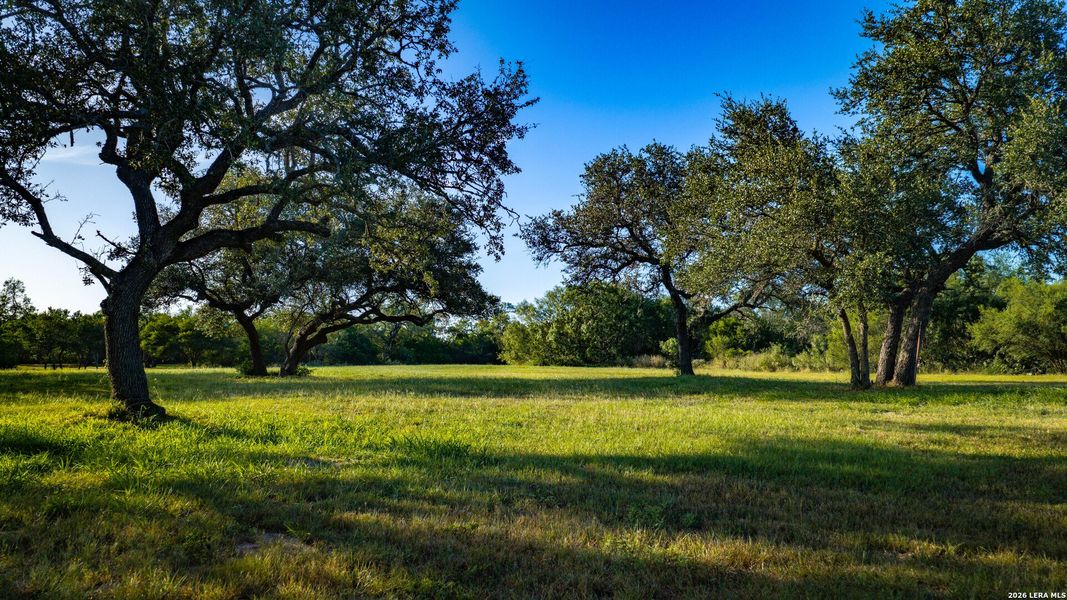 Natural landscape and outdoor views near  in Runge (Image 31).