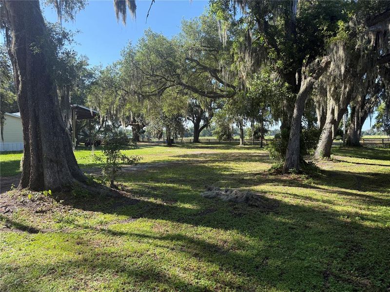 Natural landscape and outdoor views near  in Plant City (Image 22).