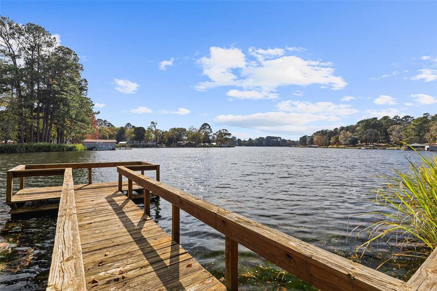 Natural landscape and outdoor views near  in Quitman (Image 18).