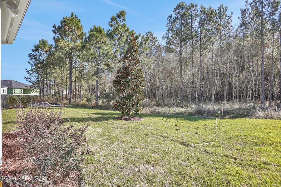 Natural landscape and outdoor views near in Green Cove Springs (Image 54). Natural landscape and outdoor views near in Green Cove Springs (Image 54).