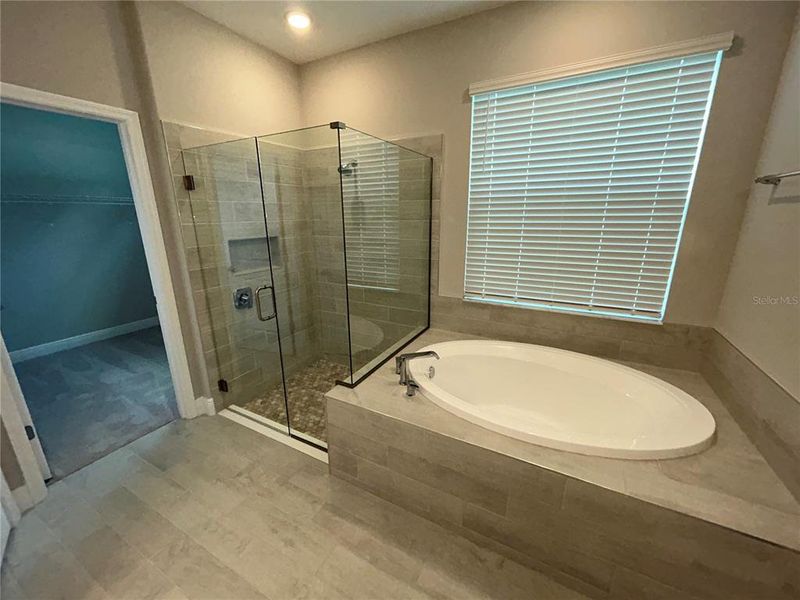 Master Bath Tub & Shower