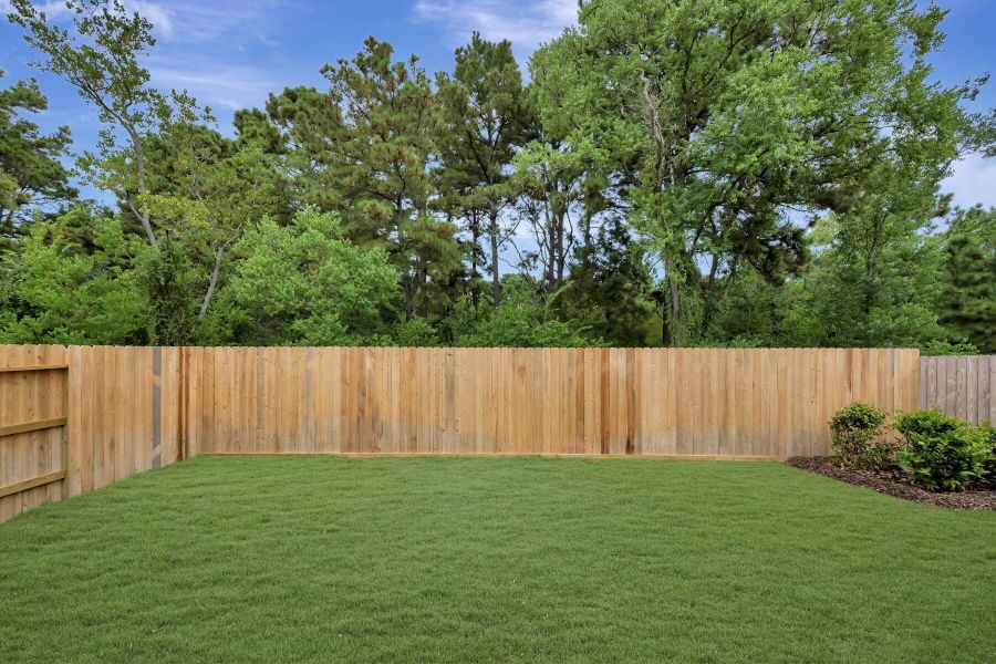 Backyard